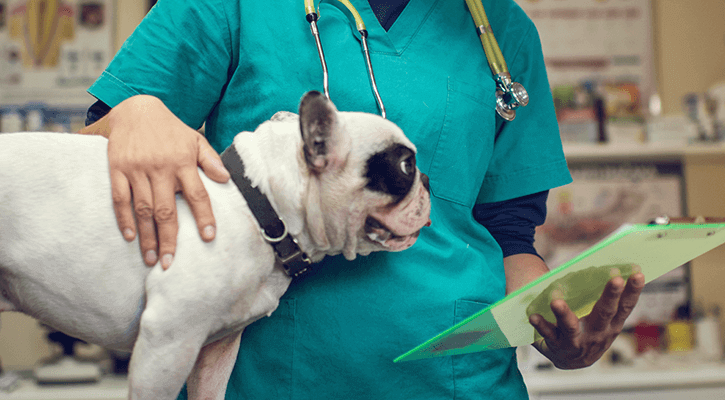 Harts Animal Hospital | Top Veterinary Care North Royalton